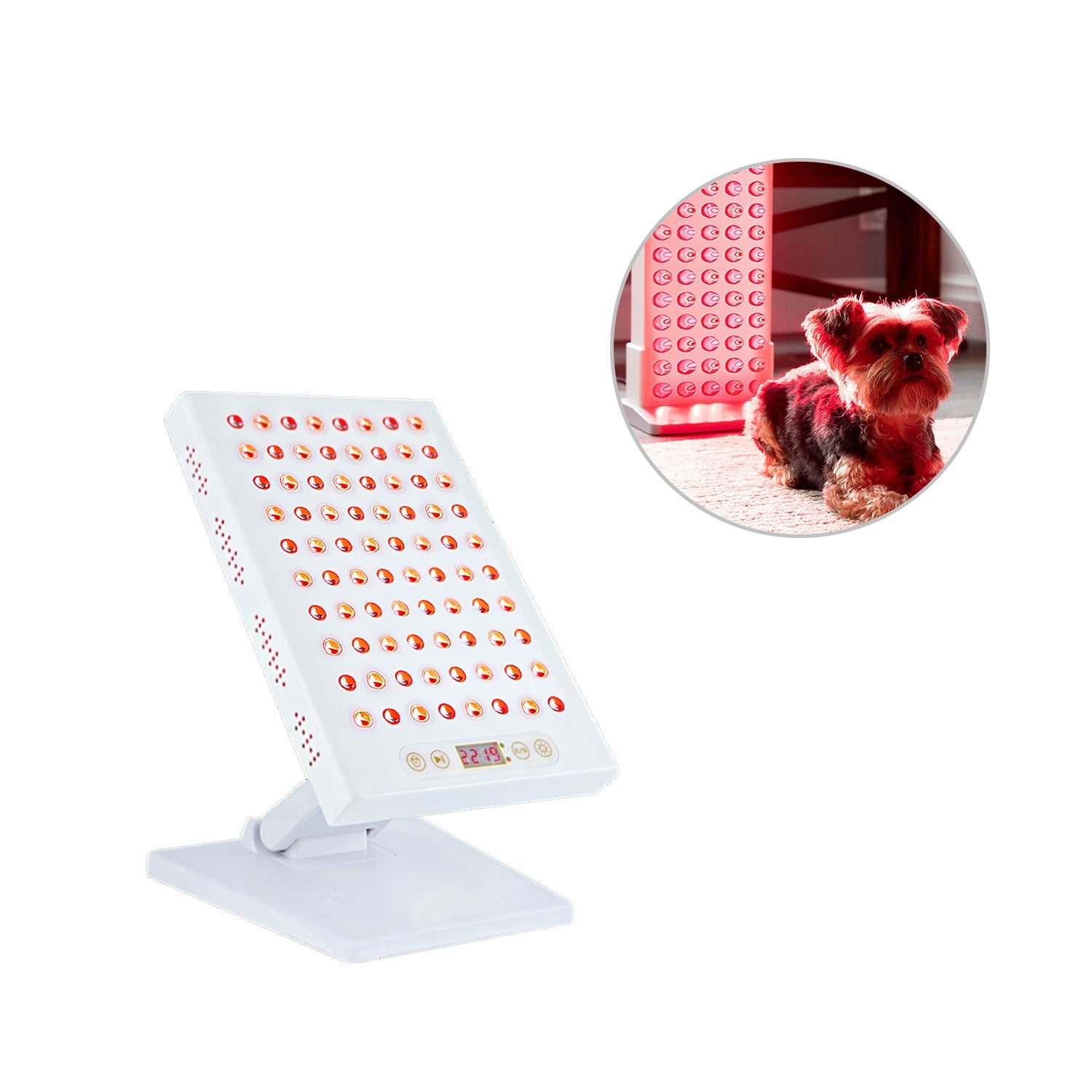 Megelin Red Light Therapy for Pets