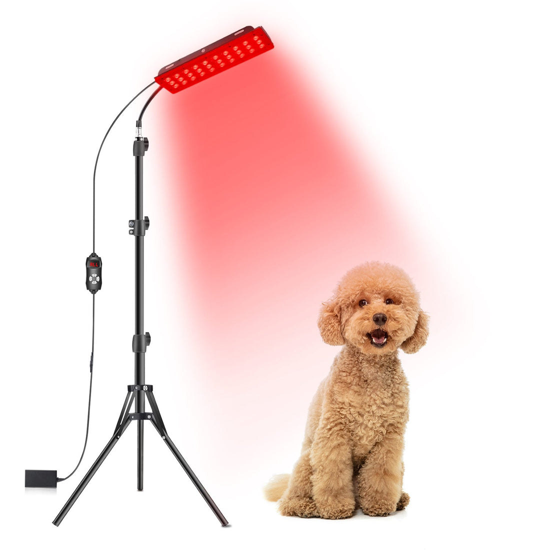 Megelin Red Light Therapy for Pets