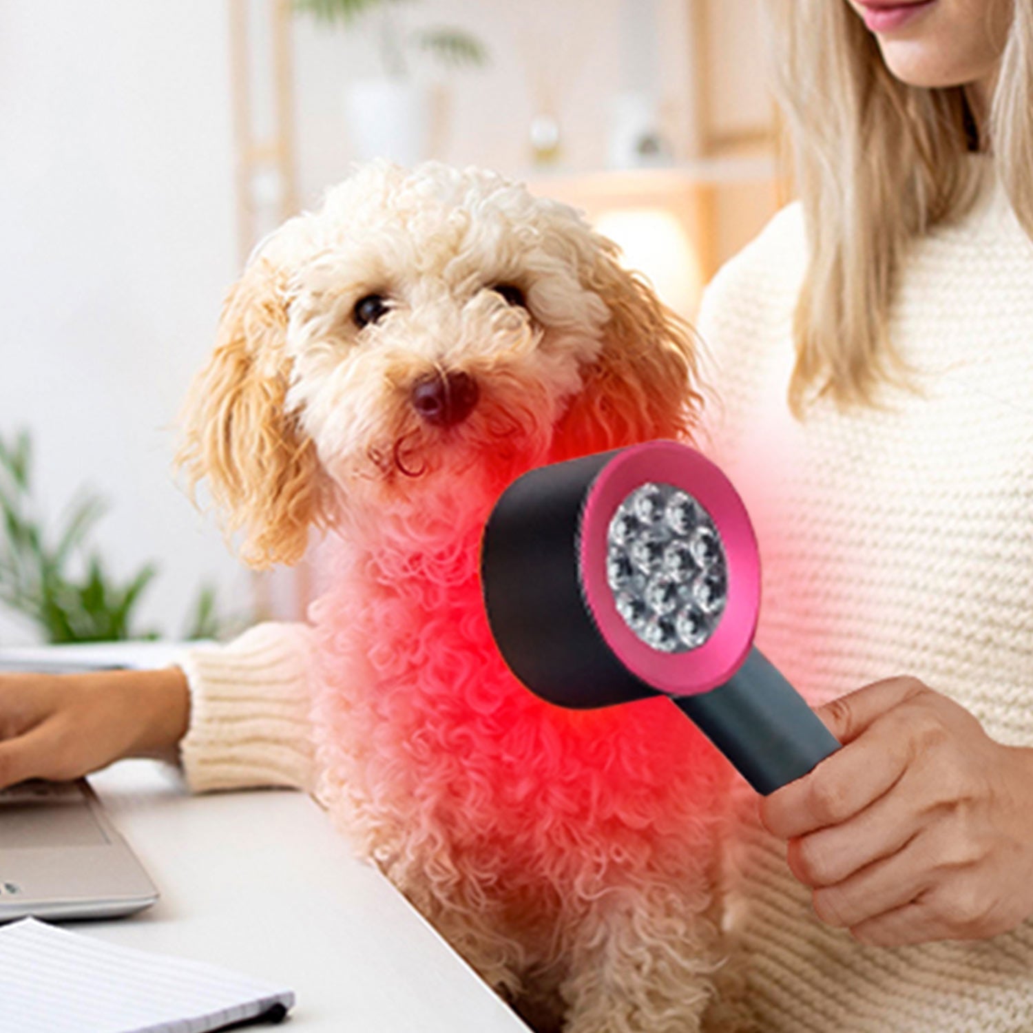 Megelin Red Light Therapy for Pets