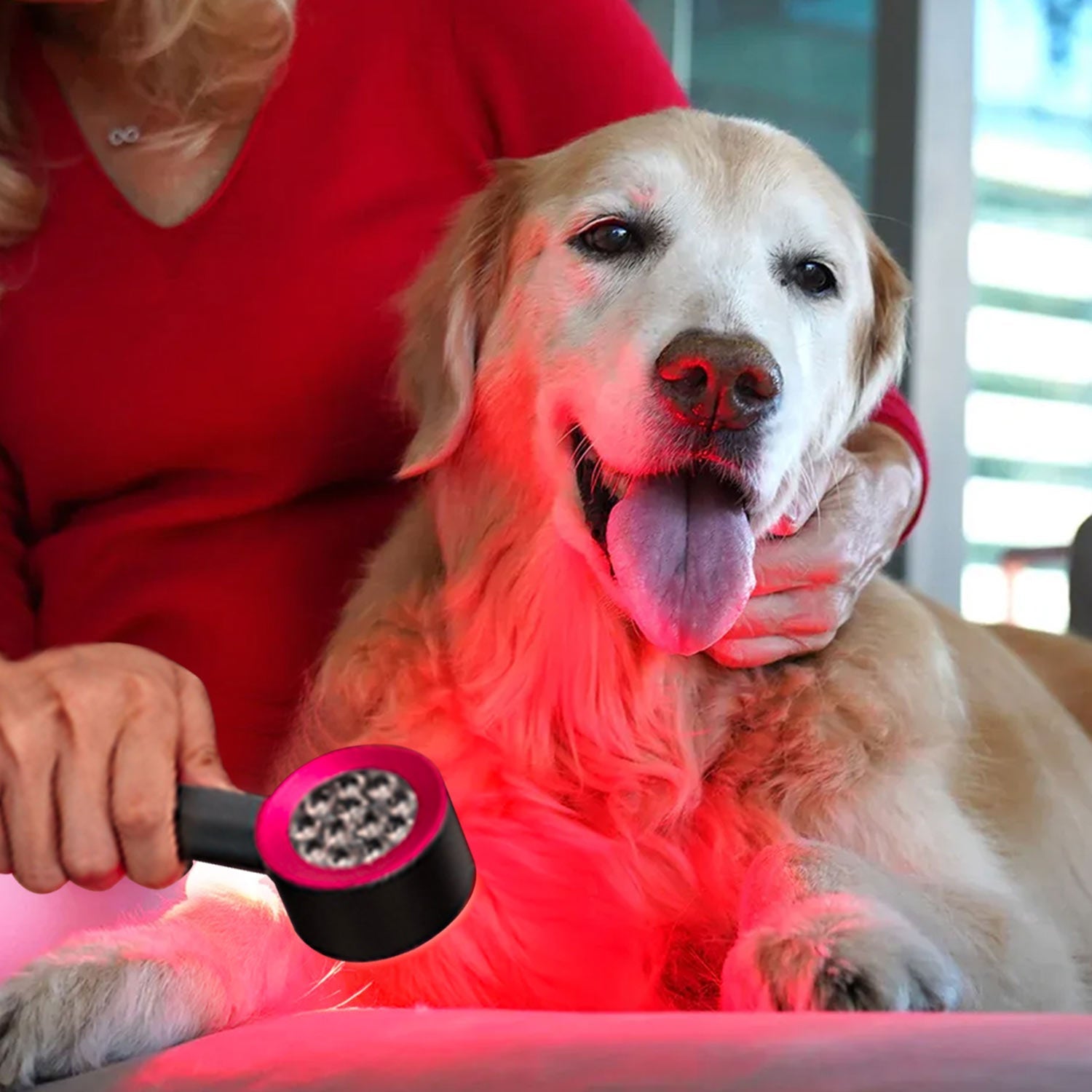 Megelin Red Light Therapy for Pets